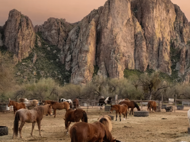 Sagaro Lake Guest Ranch